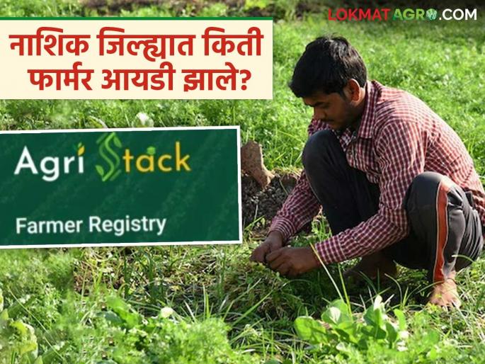 Latest News 64 thousand 648 farmers registered for Farmer ID in Nashik district | फार्मर आयडी बंधनकारक, तरीही नाशिक जिल्ह्यात 'इतके' शेतकरी फार्मर आयडी विना! Latest News 64 thousand 648 farmers registered for Farmer ID in Nashik district | फार्मर आयडी बंधनकारक, तरीही नाशिक जिल्ह्यात 'इतके' शेतकरी फार्मर आयडी विना!