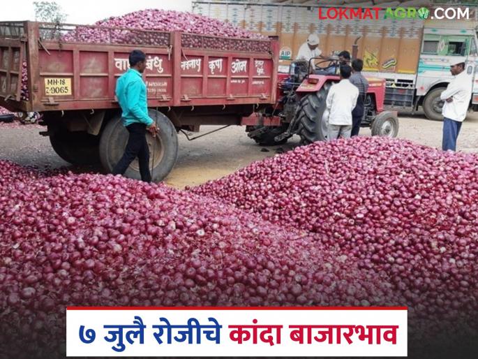 latest News Kanda Market Onion prices have fallen in Lasalgaon, Pimpalgaon kanda markets | Kanda Market : लासलगाव, पिंपळगाव मार्केटला कांदा दर कितीने घसरले, वाचा काय दर मिळतोय? 