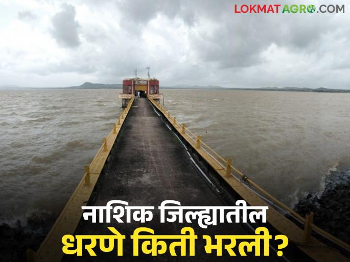 Latest news Nashik dam storage 13 dams 100 percent full in Nashik district and 42 TMC of water went to Jayakwadi dam | नाशिक जिल्ह्यातील 'ही' 13 धरणे काठोकाठ भरली, तर जायकवाडीकडे 42 टीएमसी पाणी गेले 
