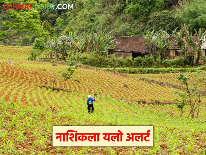 Latest News Unseasonal rains in Nashik district for next four days, read in detail | Rain Alert : नाशिक जिल्ह्यात पुढील चार दिवस अवकाळी पाऊस कायम, वाचा सविस्तर Latest News Unseasonal rains in Nashik district for next four days, read in detail | Rain Alert : नाशिक जिल्ह्यात पुढील चार दिवस अवकाळी पाऊस कायम, वाचा सविस्तर