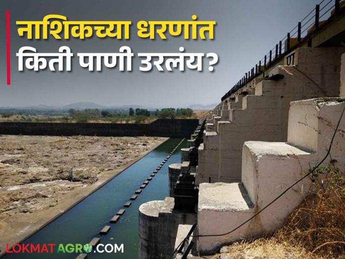 latest news Seven dams in Nashik district have gone dry, see dam storage | Nashik Dam Storage : नाशिक जिल्ह्यातील सात धरणे झाली कोरडी, नेमकं किती पाणी शिल्लक? 