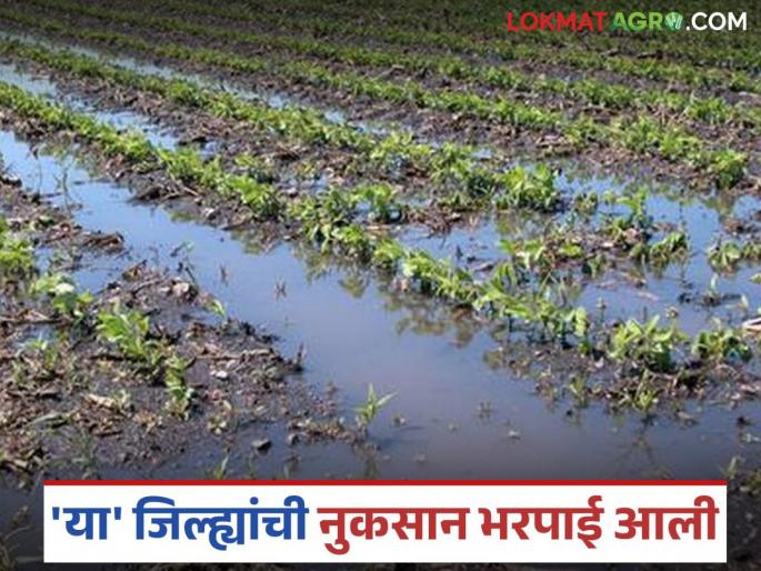 Latest news Nuksan Bharpai Help arrived for these districts were crops damaged by heavy rains in June and August | जून आणि ऑगस्ट महिन्यातील अतिवृष्टीमुळे नुकसान झालेल्या 'या' जिल्ह्यांची मदत आली Latest news Nuksan Bharpai Help arrived for these districts were crops damaged by heavy rains in June and August | जून आणि ऑगस्ट महिन्यातील अतिवृष्टीमुळे नुकसान झालेल्या 'या' जिल्ह्यांची मदत आली