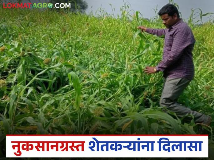 Latest News Nuksan Bharpai Compensation for losses received between February and May 2025 | Nuksan Bharpai : फेब्रुवारी ते मे 2025 मध्ये नुकसानीची भरपाई आली, थेट डीबीटीद्वारे जमा होणार Latest News Nuksan Bharpai Compensation for losses received between February and May 2025 | Nuksan Bharpai : फेब्रुवारी ते मे 2025 मध्ये नुकसानीची भरपाई आली, थेट डीबीटीद्वारे जमा होणार