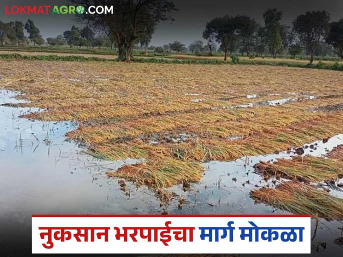 Finally, after six months, eight thousand farmers in this district started receiving crop insurance money | अखेर सहा महिन्यांनी या जिल्ह्यातील आठ हजार शेतकऱ्यांचे पिक विम्याचे पैसे मिळण्यास सुरवात