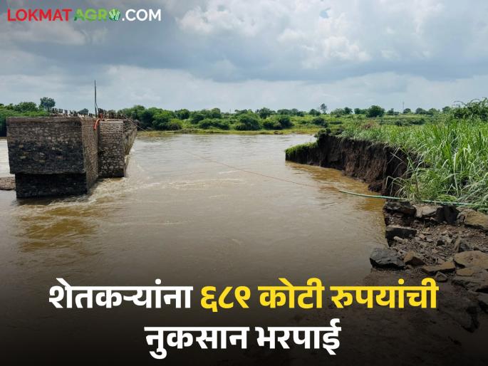 Latest News nuksan Bharpai Farmers in 'these' districts will get Rs 689 crore in compensation for losses | Nuksan Bharpai : तुमच्या जिल्ह्यातील शेतकऱ्यांना नुकसान भरपाईचे किती पैसे मिळणार, वाचा सविस्तर Latest News nuksan Bharpai Farmers in 'these' districts will get Rs 689 crore in compensation for losses | Nuksan Bharpai : तुमच्या जिल्ह्यातील शेतकऱ्यांना नुकसान भरपाईचे किती पैसे मिळणार, वाचा सविस्तर