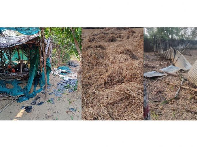 Wild elephants rampage in Lakhani taluka; Goshala vandalized, nursery vandalized, paddy pile destroyed | जंगली हत्तींचा लाखनी तालुक्यात उच्छाद; गोशाळेत तोडफोड, राेपवाटिकेत धुडगूस, धान पुंजने उद्ध्वस्त Wild elephants rampage in Lakhani taluka; Goshala vandalized, nursery vandalized, paddy pile destroyed | जंगली हत्तींचा लाखनी तालुक्यात उच्छाद; गोशाळेत तोडफोड, राेपवाटिकेत धुडगूस, धान पुंजने उद्ध्वस्त