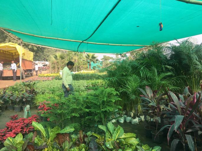 Murder of a nursery trader on Nagpur road | मजुरांसोबत पैशांवरून वाद झाला; नागपूर मार्गावर नर्सरी व्यावसायिकाचा खून Murder of a nursery trader on Nagpur road | मजुरांसोबत पैशांवरून वाद झाला; नागपूर मार्गावर नर्सरी व्यावसायिकाचा खून