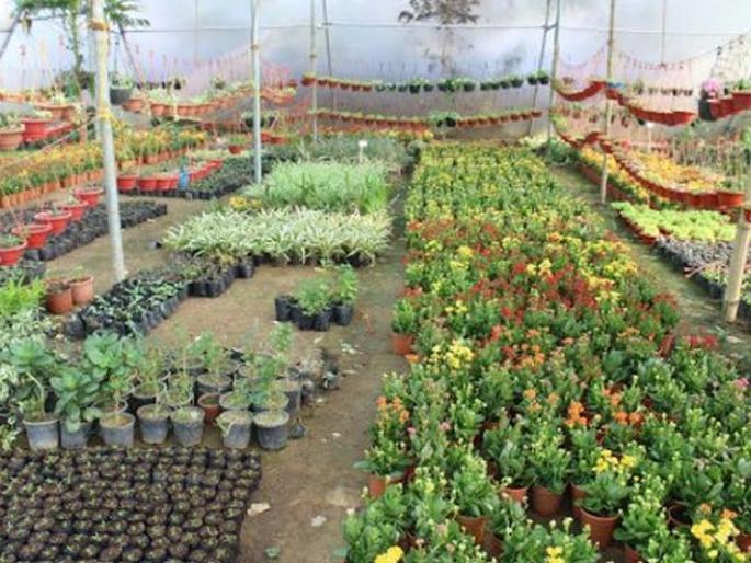 2.30 lakh subsidy to farmers for nursery! | रोपवाटिकेसाठी शेतकऱ्यांना मिळणार २.३० लाख अनुदान ! 2.30 lakh subsidy to farmers for nursery! | रोपवाटिकेसाठी शेतकऱ्यांना मिळणार २.३० लाख अनुदान !