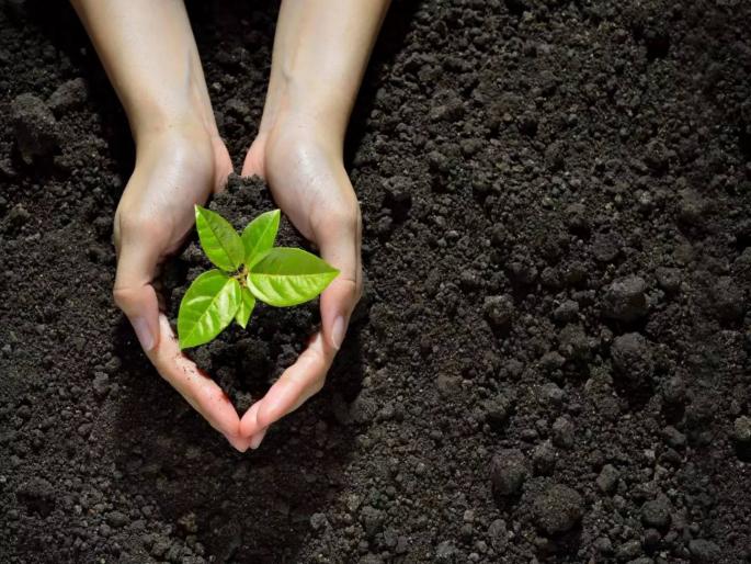 so no one will have enough food There is danger ahead! Potassium in the soil is low | ...तर कोणालाच मिळणार नाही पुरेसे अन्न; पुढे धोका आहे! मातीतील पोटॅशियम होतेय कमी so no one will have enough food There is danger ahead! Potassium in the soil is low | ...तर कोणालाच मिळणार नाही पुरेसे अन्न; पुढे धोका आहे! मातीतील पोटॅशियम होतेय कमी