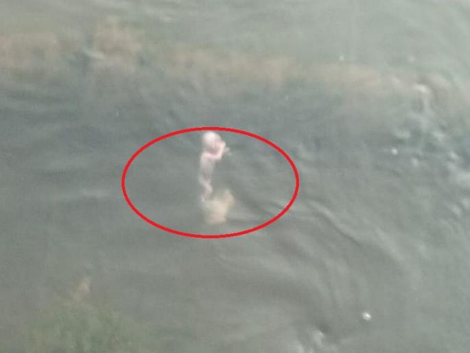 a living born baby thrown in river of ner yavatmaal | तुला आई कसं म्हणू... नदीच्या पात्रात फेकले जिवंत अर्भक  a living born baby thrown in river of ner yavatmaal | तुला आई कसं म्हणू... नदीच्या पात्रात फेकले जिवंत अर्भक