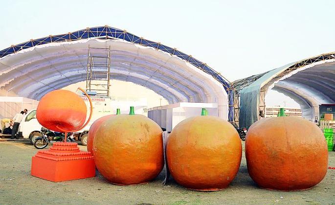 Orange Festival; Participation of the country's agricultural experts | ऑरेंज फेस्टिव्हल; देशविदेशातील कृषितज्ज्ञांचा सहभाग Orange Festival; Participation of the country's agricultural experts | ऑरेंज फेस्टिव्हल; देशविदेशातील कृषितज्ज्ञांचा सहभाग