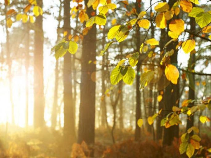 An excerpt from October hit the monsoon | आॅक्टोबर हीटचा तडाखा मान्सून परतल्याने प्रकर्षाने जाणवणारच An excerpt from October hit the monsoon | आॅक्टोबर हीटचा तडाखा मान्सून परतल्याने प्रकर्षाने जाणवणारच