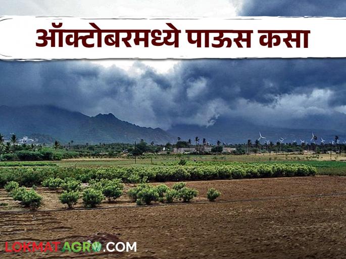 Maharashtra weather update : Why has rain activity reduced in the first fortnight of October? Know in detail | Maharashtra weather Update : ऑक्टोबरच्या पहिल्या पंधरवड्यात पावसाचा अंदाज काय? जाणून घ्या सविस्तर