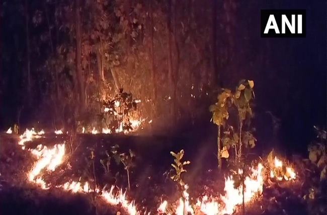 Forest fire erupts in Odisha, 'Special Task Force' to control fire | Odisha Forest Fire: ओडिशात जंगल पेटलं, आगीवर नियंत्रण मिळवण्यासाठी 'स्पेशल टास्क फोर्स' 