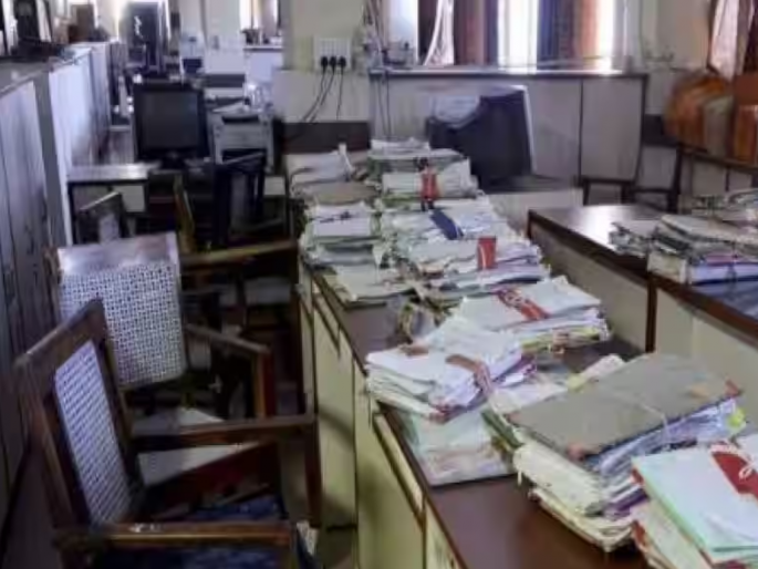 In the Social Forestry Department only the Forest Range Officers have to do the work of peon | सामाजिक वनीकरण विभागात वनपरिक्षेत्र अधिकाऱ्यांनाच करावी लागतात शिपायांची कामे In the Social Forestry Department only the Forest Range Officers have to do the work of peon | सामाजिक वनीकरण विभागात वनपरिक्षेत्र अधिकाऱ्यांनाच करावी लागतात शिपायांची कामे