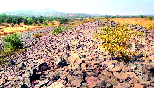 Rehabilitation for 'alternative land'! Four hundred hectares of drowning: 467 project affected people need 327.43 hectares of land for alternative land, 'voluntary' | ‘पर्यायी जमिनी’साठी अडले पुनर्वसन ! चारशे हेक्टर बुडीत : ४६७ प्रकल्पग्रस्तांना ३२७.४३ हेक्टर पर्यायी जमिनीची गरज, ‘स्वेच्छा’साठी शासनाकडून गळ Rehabilitation for 'alternative land'! Four hundred hectares of drowning: 467 project affected people need 327.43 hectares of land for alternative land, 'voluntary' | ‘पर्यायी जमिनी’साठी अडले पुनर्वसन ! चारशे हेक्टर बुडीत : ४६७ प्रकल्पग्रस्तांना ३२७.४३ हेक्टर पर्यायी जमिनीची गरज, ‘स्वेच्छा’साठी शासनाकडून गळ
