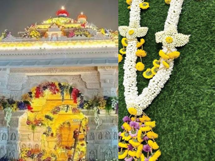 Anushka Patil of Nashik's wreath for Ramlala; PM Modi also applauded | नाशिकच्या अनुष्काचा रामललासाठी पुष्पहार; PM मोदींनीही दिली कौतुकाची थाप Anushka Patil of Nashik's wreath for Ramlala; PM Modi also applauded | नाशिकच्या अनुष्काचा रामललासाठी पुष्पहार; PM मोदींनीही दिली कौतुकाची थाप