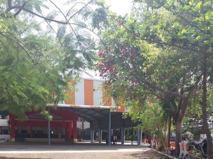 Schools closed due to bees; No trouble for parents, students in buldhana | मधमाश्या उठल्याने शाळा बंद; पालक, विद्यार्थ्यांना नाहक त्रास Schools closed due to bees; No trouble for parents, students in buldhana | मधमाश्या उठल्याने शाळा बंद; पालक, विद्यार्थ्यांना नाहक त्रास