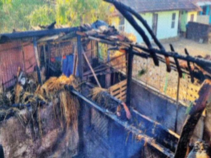 The bulls in the race were bursting into flames in mahad | शर्यतीतले बैल आगीत हंबरडा फोडत होते; महाडमधील वहूर येथील हृदयद्रावक घटना The bulls in the race were bursting into flames in mahad | शर्यतीतले बैल आगीत हंबरडा फोडत होते; महाडमधील वहूर येथील हृदयद्रावक घटना