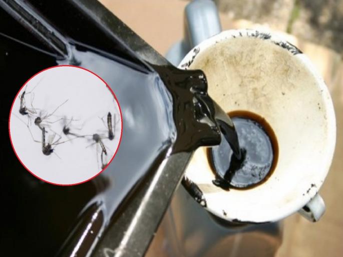 Chhatrapati Sambhaji Nagar Municipal Corporation will use burnt oil to prevent Dengue, Malaria, | डेंग्यू, मलेरिया रोखण्यासाठी 'रामबाण', छत्रपती संभाजीनगरात मनपा जळालेले ऑइल वापरणार Chhatrapati Sambhaji Nagar Municipal Corporation will use burnt oil to prevent Dengue, Malaria, | डेंग्यू, मलेरिया रोखण्यासाठी 'रामबाण', छत्रपती संभाजीनगरात मनपा जळालेले ऑइल वापरणार