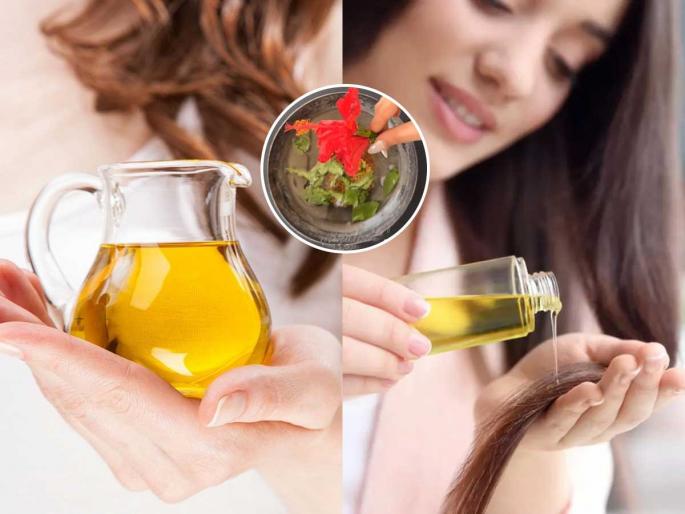 homemade oil for black, thick and shiny hair, hair oil that helps to reduce hair fall  | साऊथ इंडियन लोकांसारखे दाट, काळेभोर केस हवे? 'हे' तेल लावा, महिनाभरात फरक दिसेल homemade oil for black, thick and shiny hair, hair oil that helps to reduce hair fall  | साऊथ इंडियन लोकांसारखे दाट, काळेभोर केस हवे? 'हे' तेल लावा, महिनाभरात फरक दिसेल