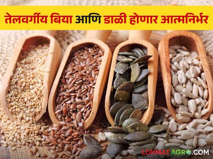 Research role of agricultural universities will be important | कृषी विद्यापीठांची संशोधनात्मक भूमिका ठरणार महत्त्वाची Research role of agricultural universities will be important | कृषी विद्यापीठांची संशोधनात्मक भूमिका ठरणार महत्त्वाची