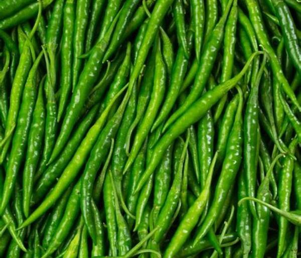 How can the price of green chillies reach 80 rupees? | हिरवी मिरची झोंबू लागली, ८० रुपयांवर पोहचली भाव कसा परवडेल? How can the price of green chillies reach 80 rupees? | हिरवी मिरची झोंबू लागली, ८० रुपयांवर पोहचली भाव कसा परवडेल?