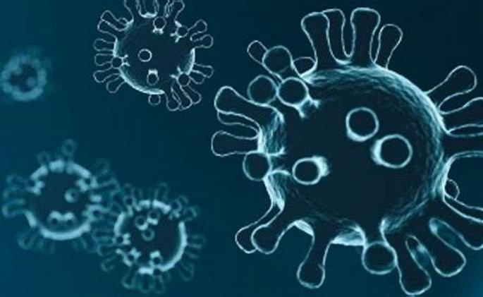 The third wave subsided; 181 new patients in 24 hours | तिसरी लाट ओसरली; २४ तासात १८१ नवे रुग्ण The third wave subsided; 181 new patients in 24 hours | तिसरी लाट ओसरली; २४ तासात १८१ नवे रुग्ण