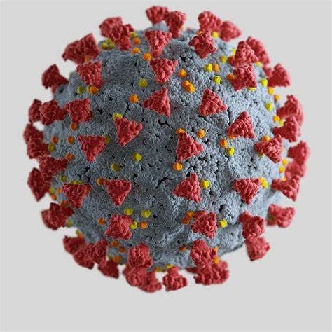 Coronavirus infection in 10th standard student in Nagpur district; School closed for a week | नागपूर जिल्ह्यात दहावीच्या विद्यार्थिनीला कोरोनाची लागण; शाळा एक आठवडा बंद