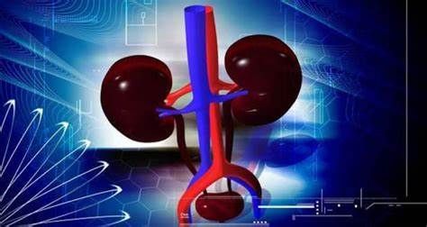 Despite being a kidney donor, they live within the shadow of death; Transplantation stopped for three years | किडनीदाता असूनही ते जगतात मृत्यूचा दाढेत; तीन वर्षांपासून प्रत्यारोपणच बंद Despite being a kidney donor, they live within the shadow of death; Transplantation stopped for three years | किडनीदाता असूनही ते जगतात मृत्यूचा दाढेत; तीन वर्षांपासून प्रत्यारोपणच बंद