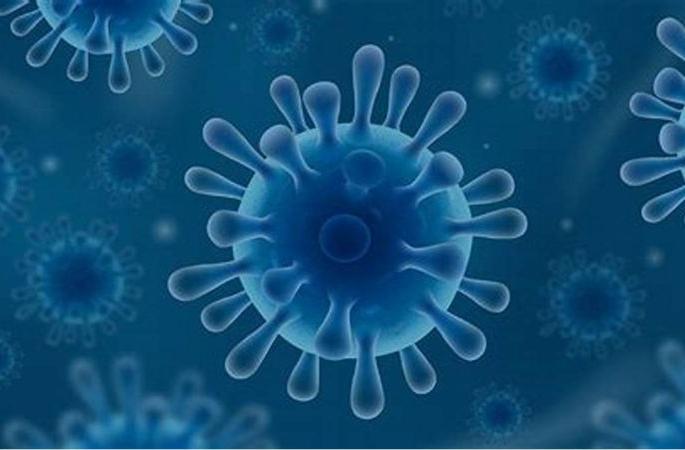 Corona infiltration in hospital; Infection in 10 female patients | नागपूरच्या मनोरुग्णालयातही कोरोनाचा शिरकाव; १० महिला रुग्णांना लागण Corona infiltration in hospital; Infection in 10 female patients | नागपूरच्या मनोरुग्णालयातही कोरोनाचा शिरकाव; १० महिला रुग्णांना लागण