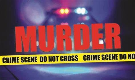 Murder for the sake of seeing in anger; Accused arrested | रागाने पाहिल्याच्या कारणावरून हत्या; आरोपी काका पुतण्या गजाआड 