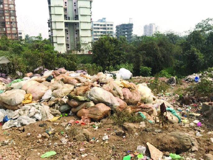 Complaint against Board for pollution | प्रदूषणाविरोधात मंडळाचीच तक्रार Complaint against Board for pollution | प्रदूषणाविरोधात मंडळाचीच तक्रार