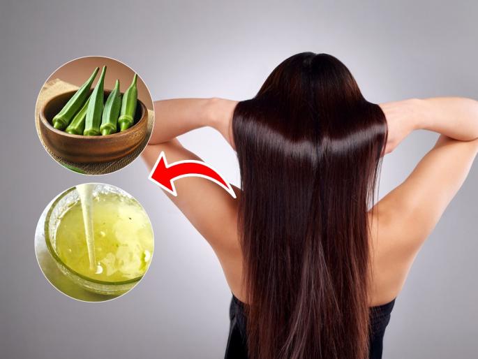 Hair Mask Okra Water For Hair Secret Remedy To Get Silky & Shiny Hair In Monsoon okra water hair mask benefits monsoon hair care with okra water okra gel for frizz free hair | पावसाळ्यात केसांचा खराटा झाला? लावा ‘असे’ भेंडीचे पाणी, मऊ सुळसुळीत चमकदार होतील केस...