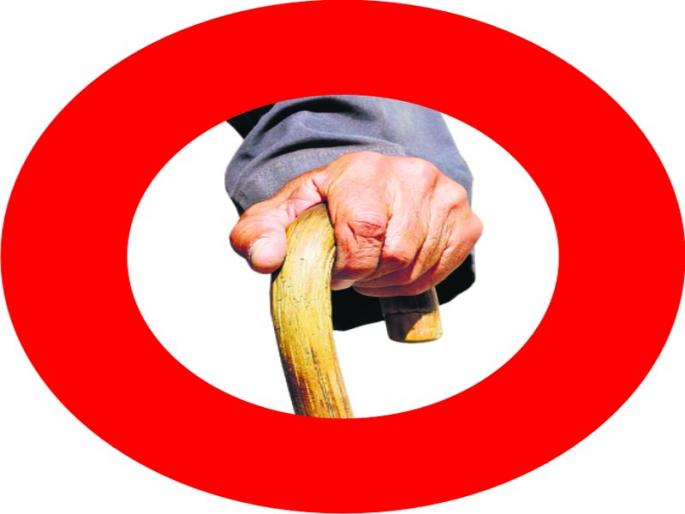 Jyeshthas experienced 'forgetfulness and childhood' by forgetting consciousness | देहभान विसरून ज्येष्ठांनी अनुभवले ‘रम्य ते बालपण’ Jyeshthas experienced 'forgetfulness and childhood' by forgetting consciousness | देहभान विसरून ज्येष्ठांनी अनुभवले ‘रम्य ते बालपण’