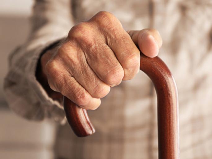 The eighty-year-old grandfather turned one year old again; How? Read this parable! | ऐंशी वर्षांचे आजोबा पुन्हा एक वर्षाचे झाले; कसे ? वाचा ही बोधकथा! The eighty-year-old grandfather turned one year old again; How? Read this parable! | ऐंशी वर्षांचे आजोबा पुन्हा एक वर्षाचे झाले; कसे ? वाचा ही बोधकथा!