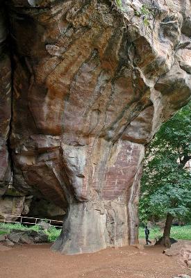 Cuddly abdomen | कुडोपीतील अभिरुचीसंपन्नता