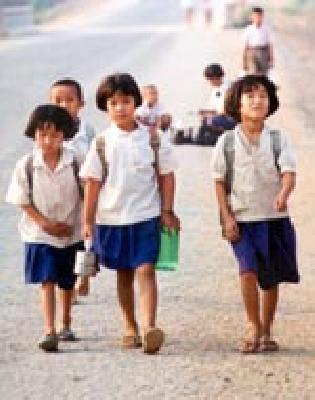 Mud and lily | चिखल आणि कमळ Mud and lily | चिखल आणि कमळ