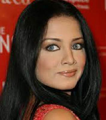 Celina Jaitley's fight for homosexuals | सेलिना जेटलीचा समलैंगिकांसाठी लढा