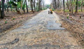 The relapse of Etapalli-Jarawandi road | एटापल्ली-जारावंडी रस्त्याची दुरवस्था The relapse of Etapalli-Jarawandi road | एटापल्ली-जारावंडी रस्त्याची दुरवस्था