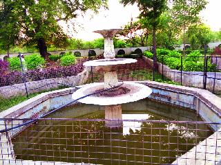 Baby dew due to lack of toys | खेळणीच नसल्याने बालोद्याने ओस