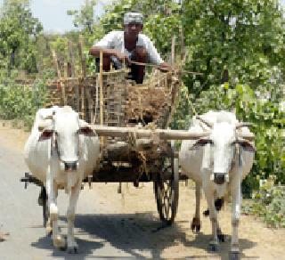 Preparation for Kharipachi: | तयारी खरिपाची : Preparation for Kharipachi: | तयारी खरिपाची :