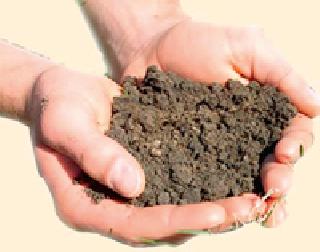 The market committee will do the soil, water testing | बाजार समिती करणार माती, पाणी परीक्षण