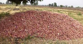 Prices of Onion Driven by traders | व्यापार्‍यांनी पाडले कांद्याचे भाव