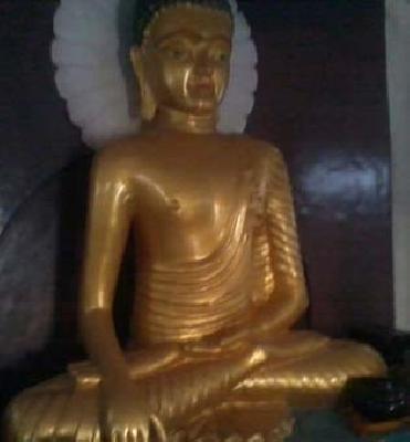 Shirla Buddha Bhumi's center of propagation! | शिर्ला बुद्धभूमी धम्म प्रसाराचे केंद्र!