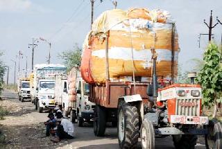 Purchase of 1 lakh quintals of cotton | १ लाख क्विंटल कापसाची खरेदी