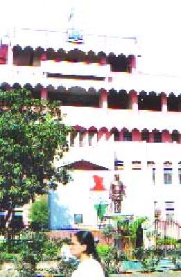 White elephant for 'handicapping'! | ‘टोर्इंग’ ठरला मनपासाठी पांढरा हत्ती !