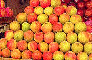 Larger arrivals than mangoes | आंब्यांची परराज्यातूनच मोठी आवक Larger arrivals than mangoes | आंब्यांची परराज्यातूनच मोठी आवक