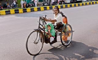 Life cycle: | जीवनचक्र :