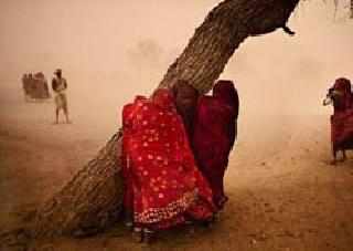 In many parts of Rajasthan, relief from rains and crackers | राजस्थानच्या अनेक भागात पाऊस, उकाड्यापासून दिलासा In many parts of Rajasthan, relief from rains and crackers | राजस्थानच्या अनेक भागात पाऊस, उकाड्यापासून दिलासा